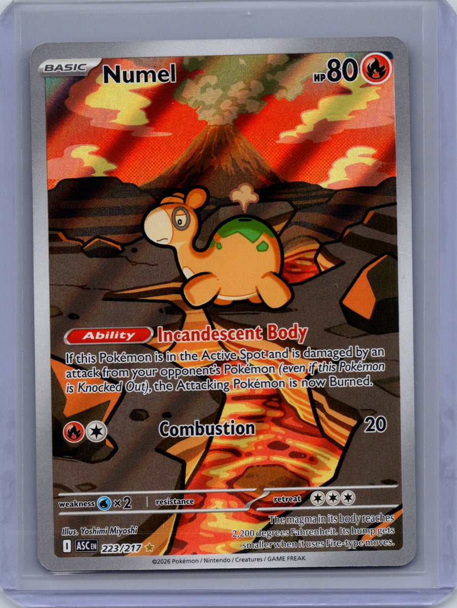 Numel 223/217