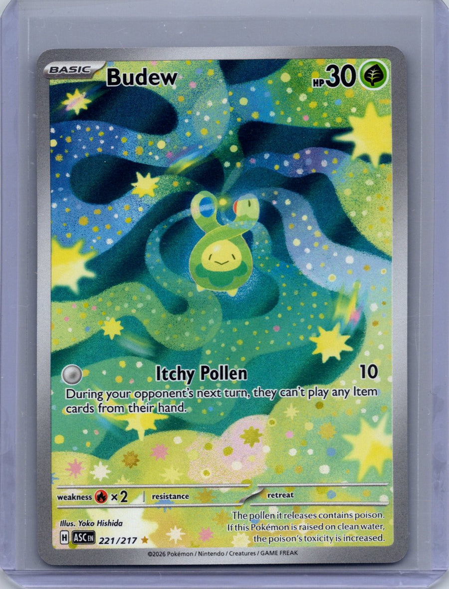 Budew 221/217
