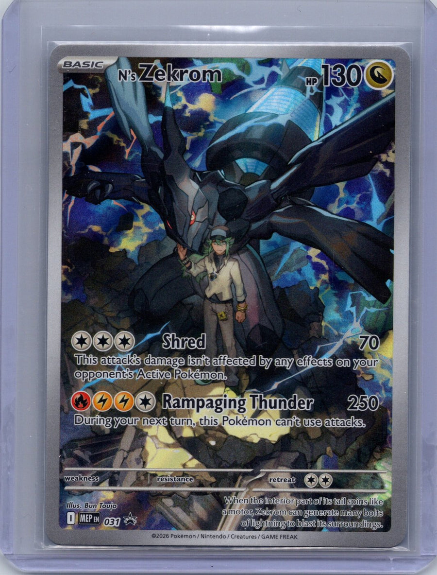 N's Zekrom 031