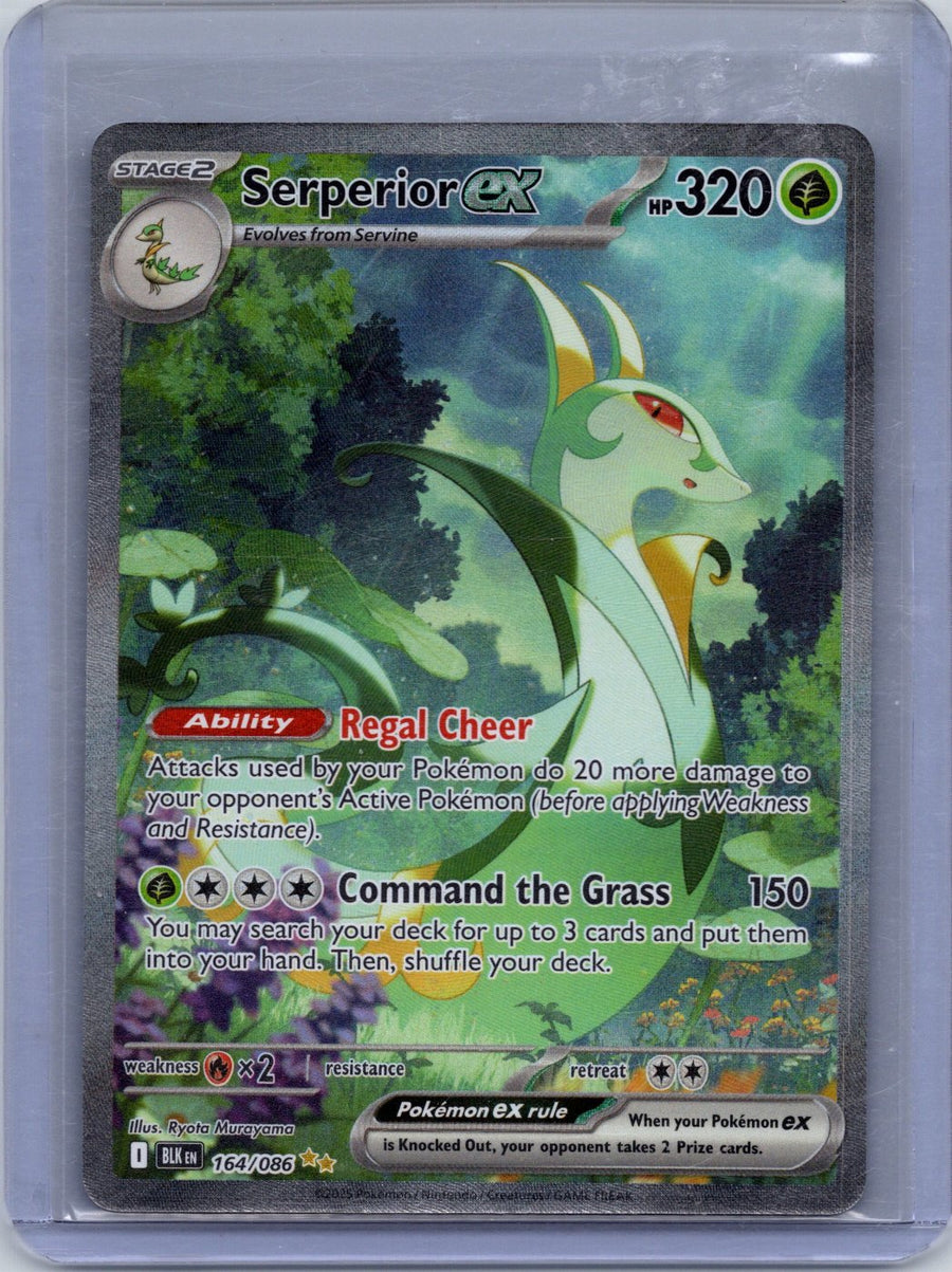 Serperior ex 164/086