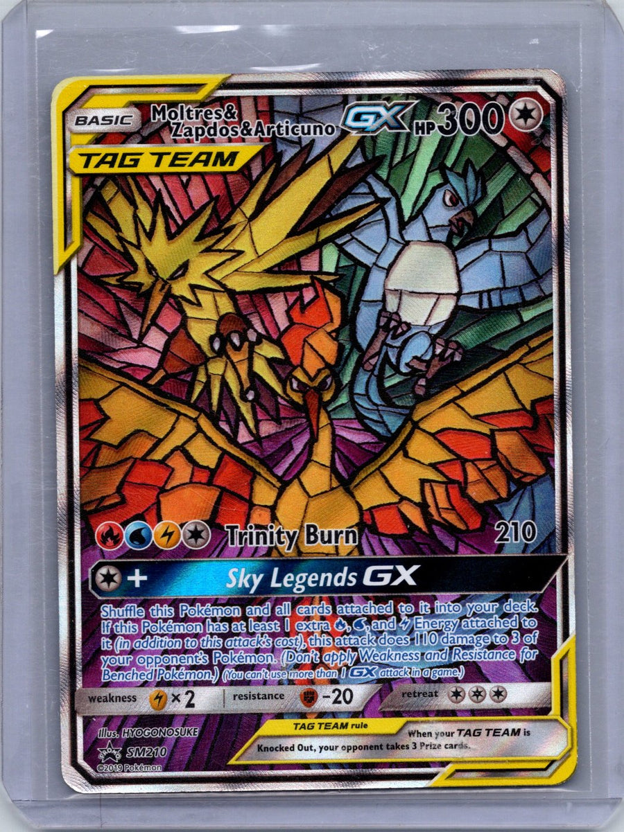 Moltres & Zapdos & Articuno-GX SM210/248