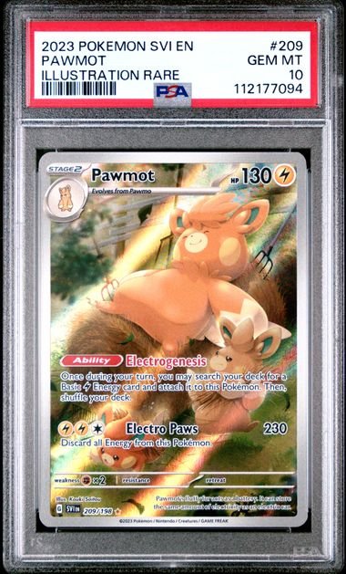 Pawmot 209/198
