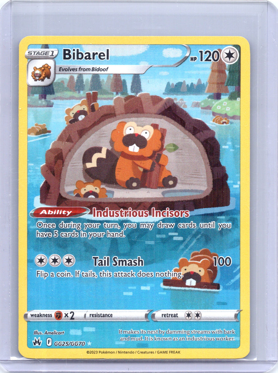 Bibarel GG25/GG70