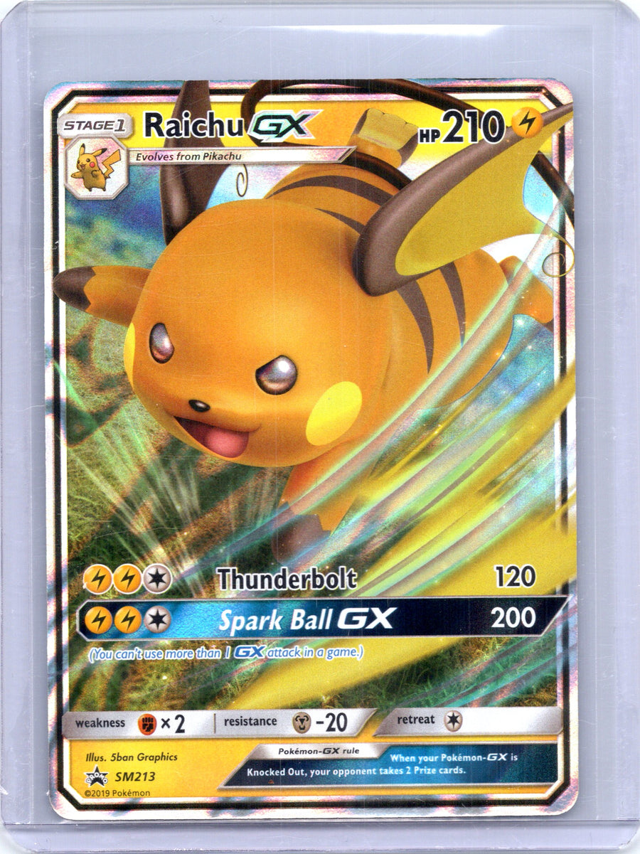 Raichu GX - SM213