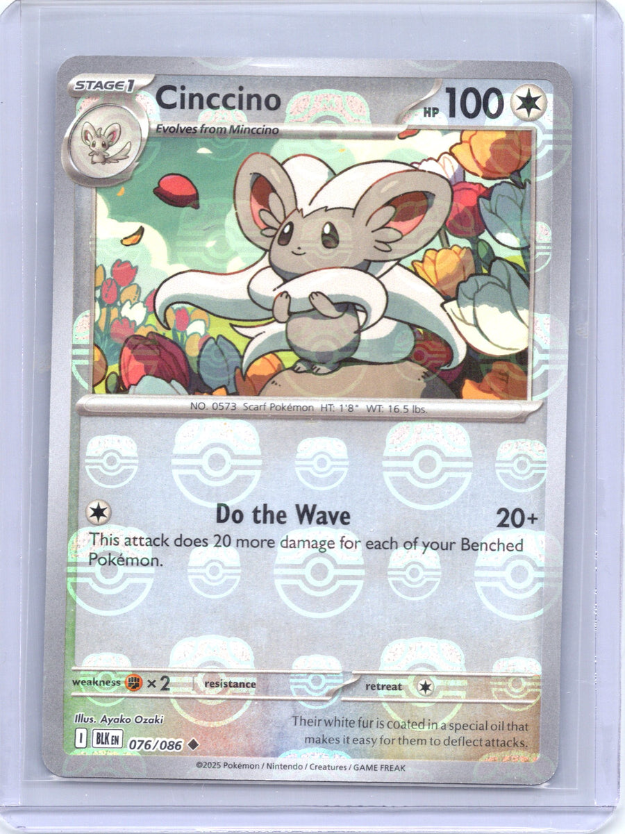 Cinccino (Master Ball Pattern) 076/086
