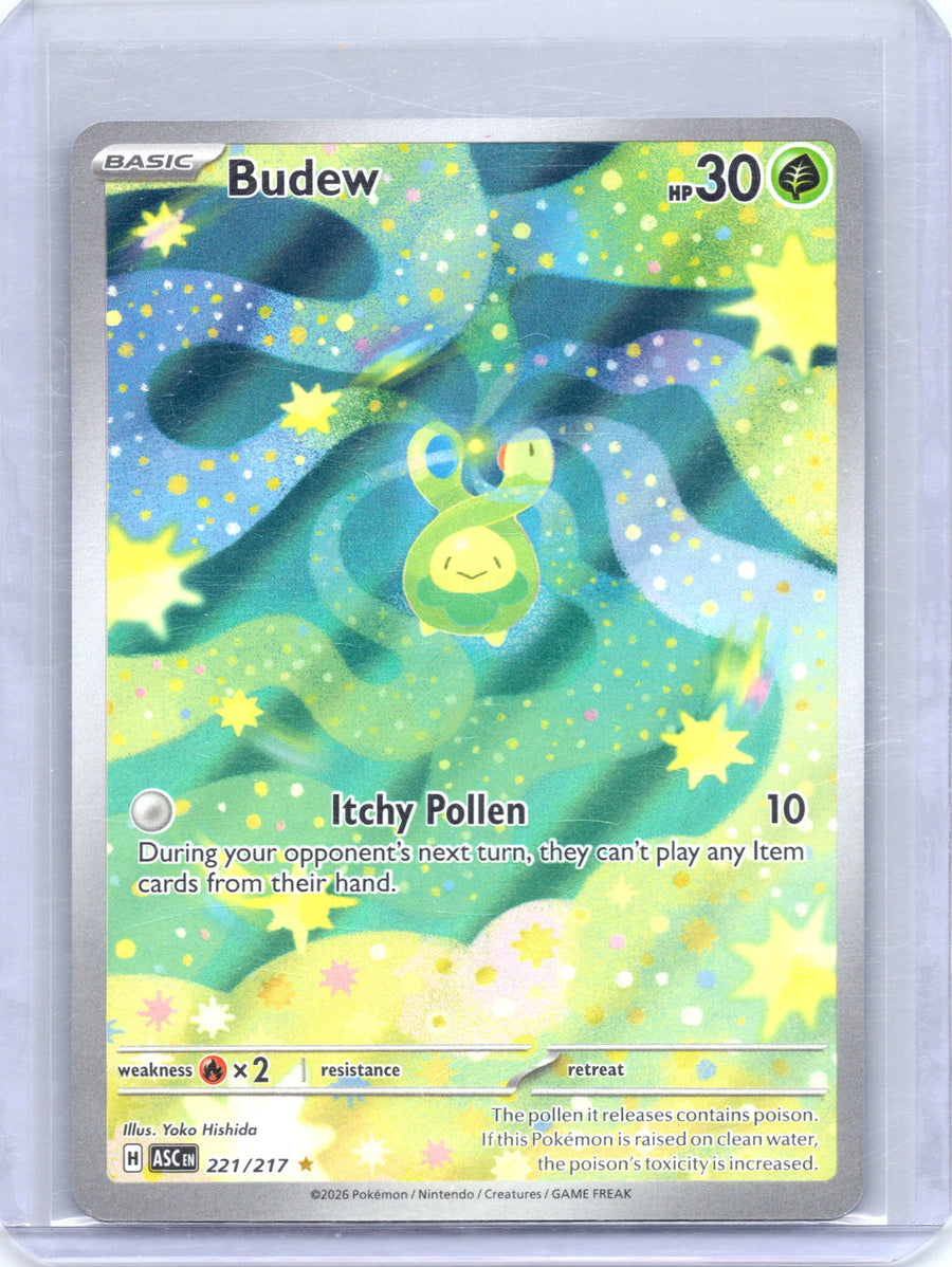 Budew 221/217