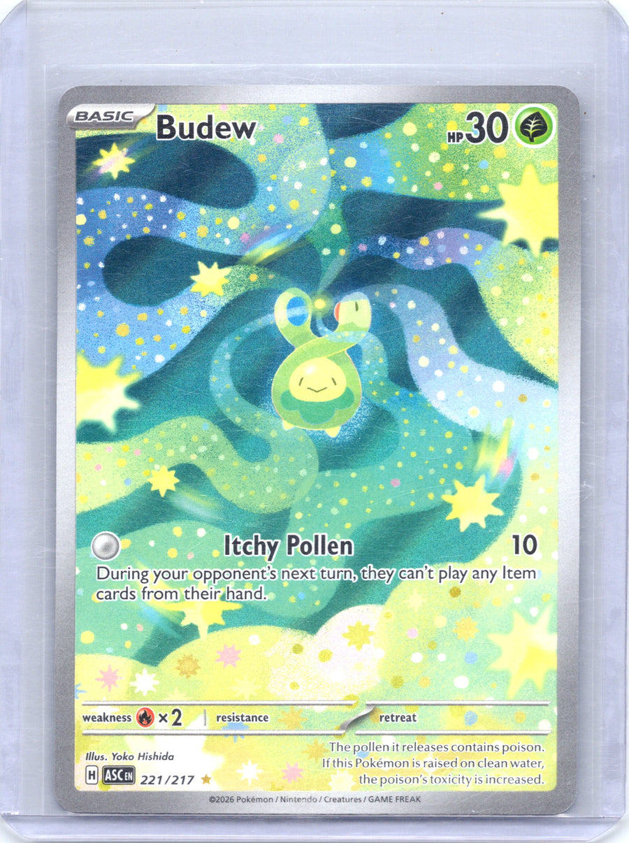Budew 221/217